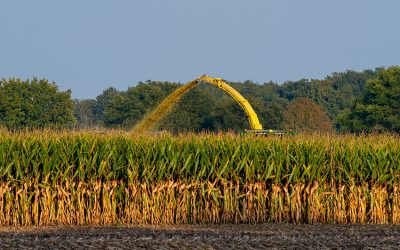 Präzision auf Rädern: Die Arbeit der Maishäckslerfahrer