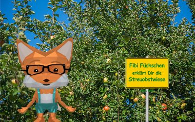 Fibi Füchschen erklärt die Streuobstwiese