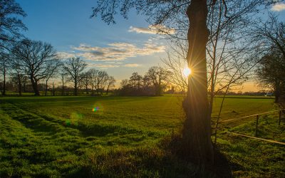Bauernregel mit Fibi
