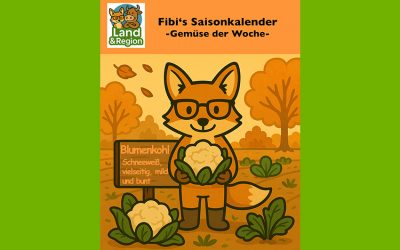 Schneeweiß, mild und vielseitig, ein echtes Allround-Gemüse