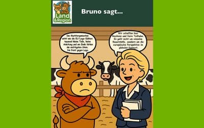 Bruno sagt…