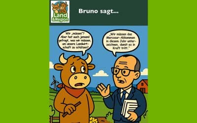 Bruno sagt…