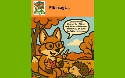 Der Igel – ein kleiner Stachelritter im Garten