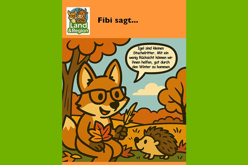 Der Igel – ein kleiner Stachelritter im Garten