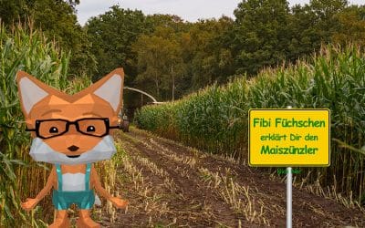 Fibi Füchschen erklärt den Maiszünzler