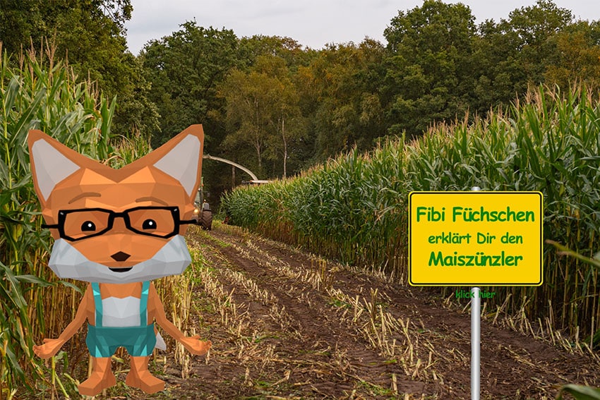 Fibi_Ortsschild maiszünzler streuobstwiese