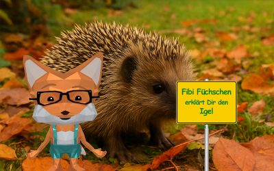 Fibi Füchschen erklärt den Igel