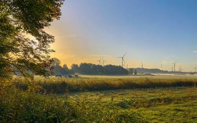 Bauernregel mit Fibi