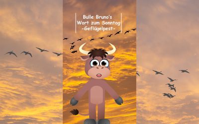 Bulle Brunoüber die Geflügelpest