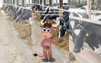 Bulle Bruno über die neue EU-Marktorganisation
