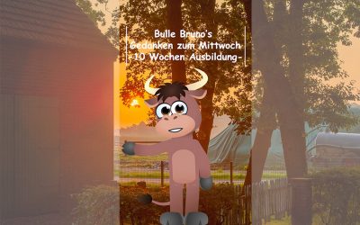 Bulle Bruno über die Ausbildung