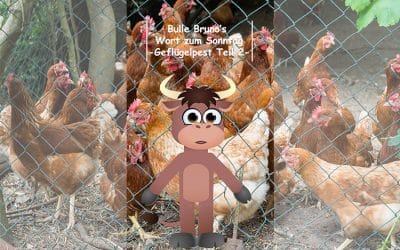 Bulle Bruno über die Geflügelpest