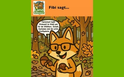 Eicheln und Kastanien – das Winterbuffet für Wildtiere