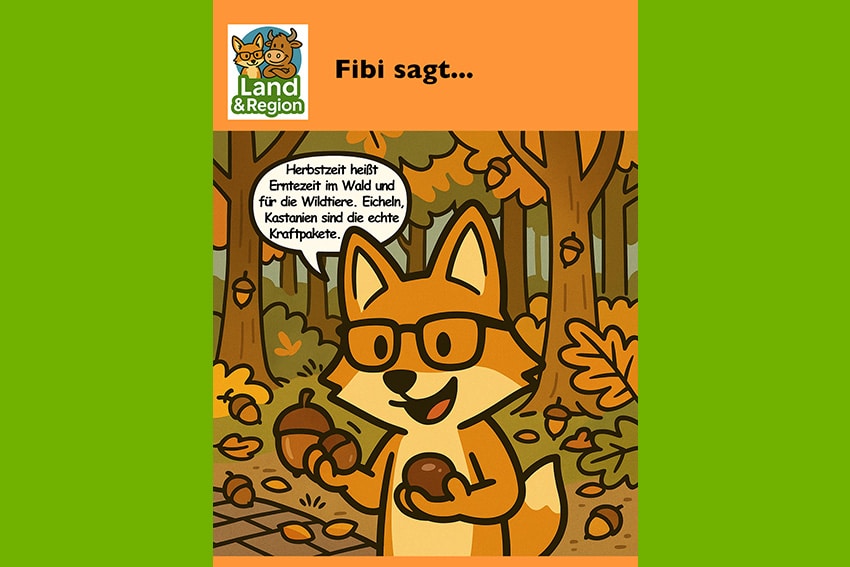 Eicheln und Kastanien – das Winterbuffet für Wildtiere