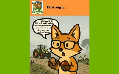 Nebel – weich, still und ein bisschen mystisch