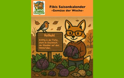 Rotkohl – der Klassiker, kräftig in der Farbe, stark im Geschmack