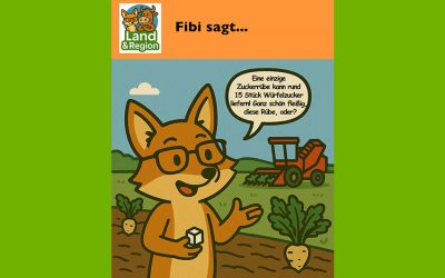 Die Zuckerrübe – vom Acker bis zum Zucker