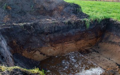 Wiedervernässung von Mooren: Warum gute Ziele gute Wege brauchen