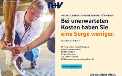 Pferd und Hund rundum gesund