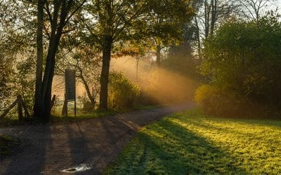 Bauernregel mit Fibi