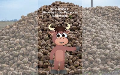 Bulle Bruno über die Rübenroder