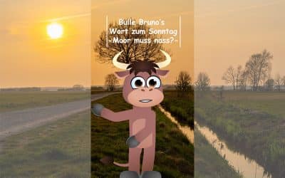 Bulle Bruno über die Moorwiedervernässung