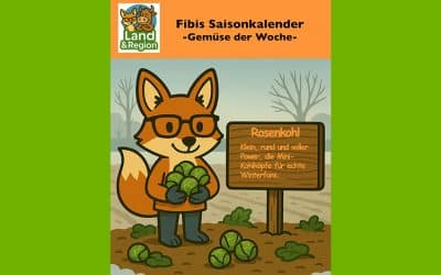 Klein, rund und voller Power – die Mini-Kohlköpfe für Winterfans.