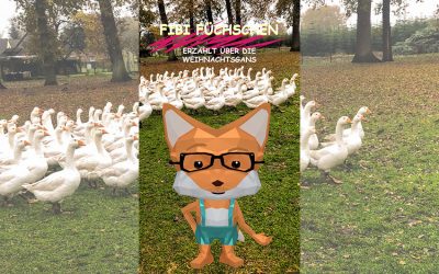 Fibi Füchschen über die Weihnachtsgänse