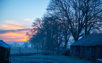 Bauernregel mit Fibi