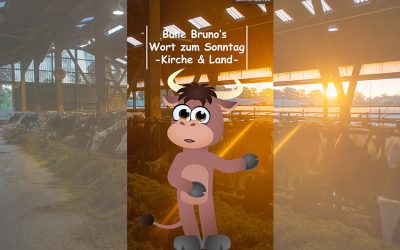 Bulle Bruno über Kirche und Land