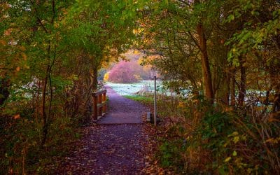 Fibi fragt das Wetter – Bauernregel der Woche