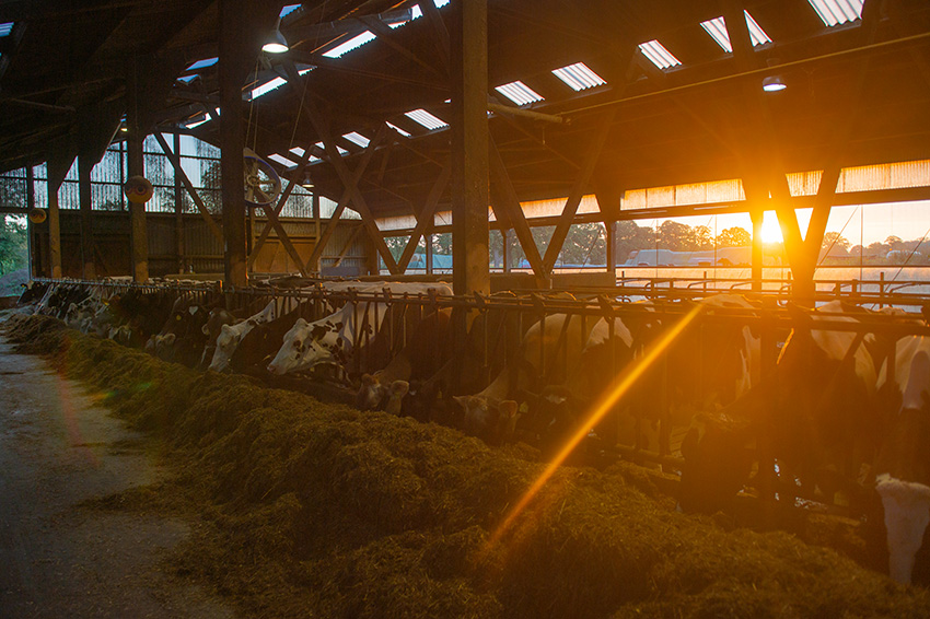 kirche und landwirtschaft