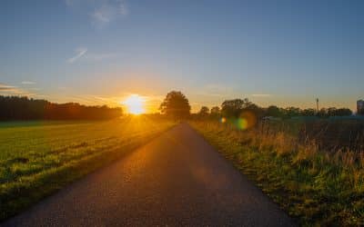 Monopolkommission – Wenn der Preis steigt aber nicht bei den Bauern