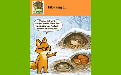 Winterschlaf bei heimischen Wildtieren