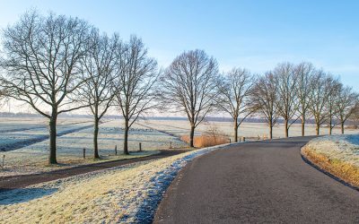 „Landwirtschaft soll …“ – Ein Berufsstand unter Dauerauftrag