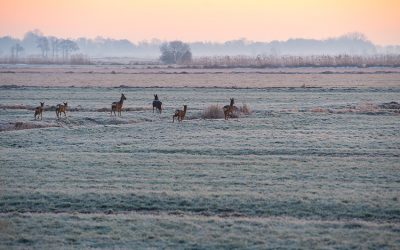 Mehr braucht es gerade nicht