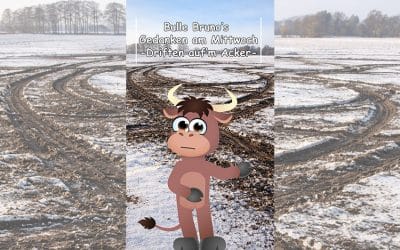 Bulle Bruno über das Driften