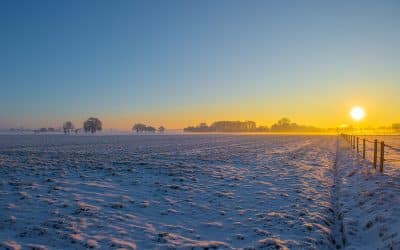 Bauernregel mit Fibi