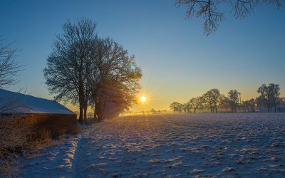 Werbung mit Landwirtschaft – zwischen Bildwelten und Wirklichkeit