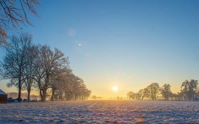 Bauernregel mit Fibi