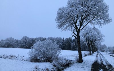 Bauernregel mit Fibi