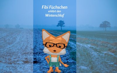 Fibi Füchschen erklärt den Winterschlaf