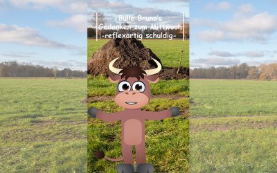 Bulle Bruno über reflexartige Schuldzuweisungen