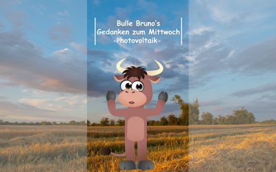 Bulle Bruno über Photovoltaik