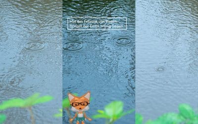 Bauernregel mit Fibi