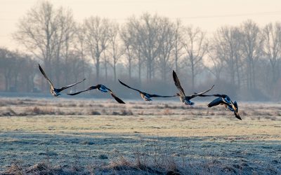 Mehr braucht es gerade nicht