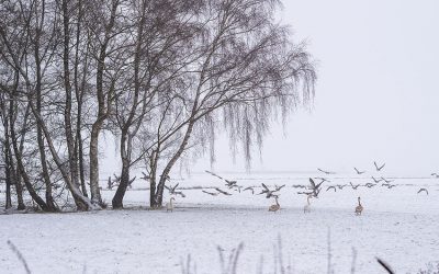 Mehr braucht es gerade nicht