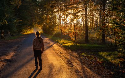 Wenn junge Menschen gehen – strukturelle Ursachen im ländlichen Raum