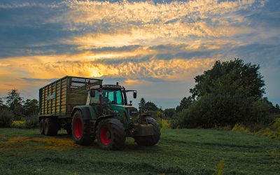 Landwirtschaft – Zielkonflikte, Schuldzuweisungen, Doppelmoral