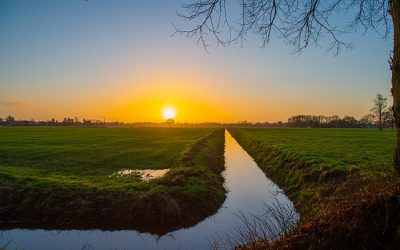 Bauernregel mit Fibi